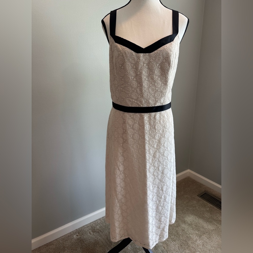LOFT Cream Lace Midi Dress with Black Trim, Size 12